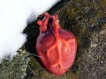 Keramické srdce